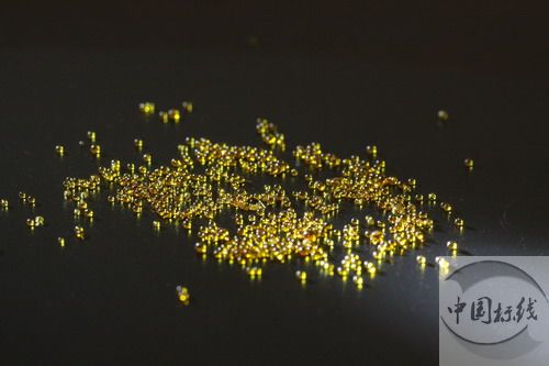 嘉禾市政道路标线施工现场